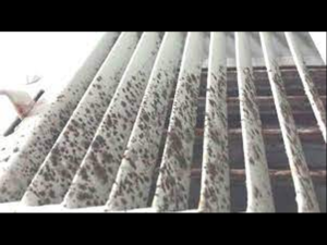 mold inside your air conditioning unit