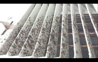 mold inside your air conditioning unit