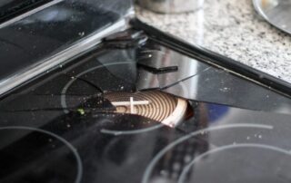 Ceramic Glass Cooktop